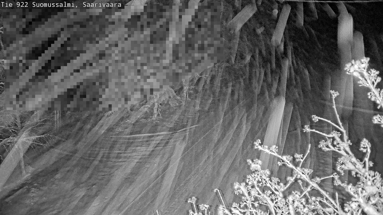 Weather Camera Image Road 950 843 Suomussalmi, Saarivaara, Suomussalmi, Kainuu