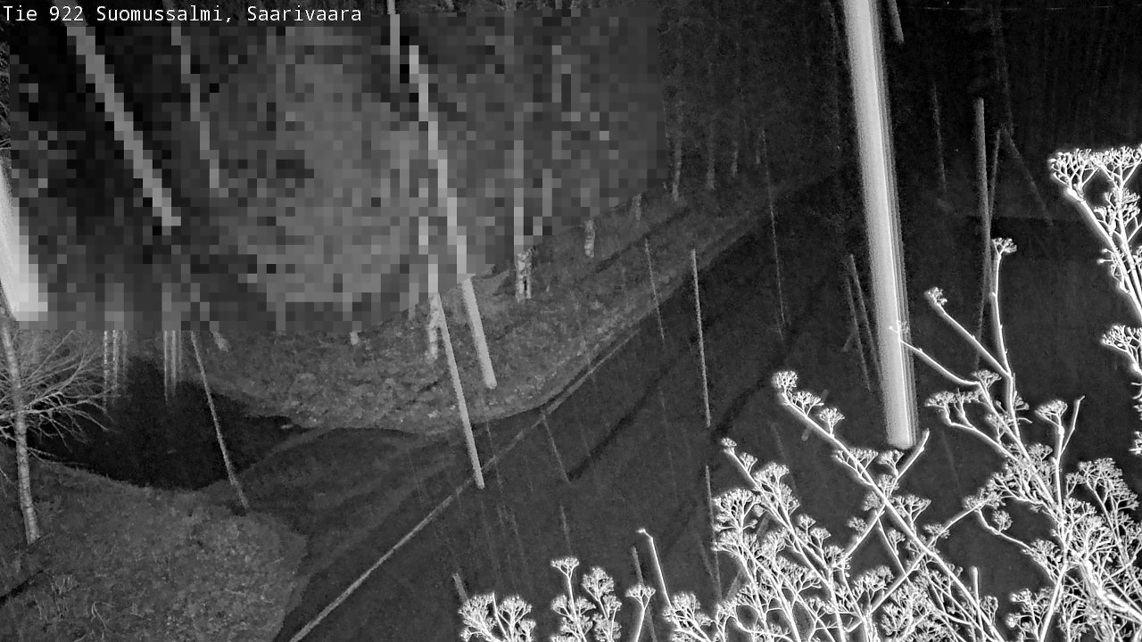 Kelikamerat Kuva Tie 843 Suomussalmi, Saarivaara, Suomussalmi, Kainuu