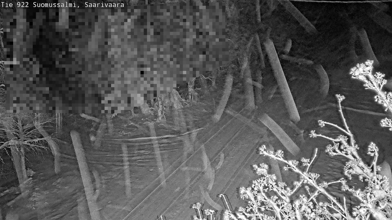 Weather Camera Image Road 950 843 Suomussalmi, Saarivaara, Suomussalmi, Kainuu