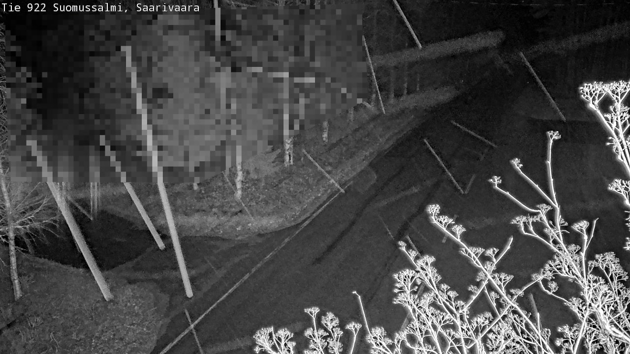 Kelikamerat Kuva Tie 843 Suomussalmi, Saarivaara, Suomussalmi, Kainuu