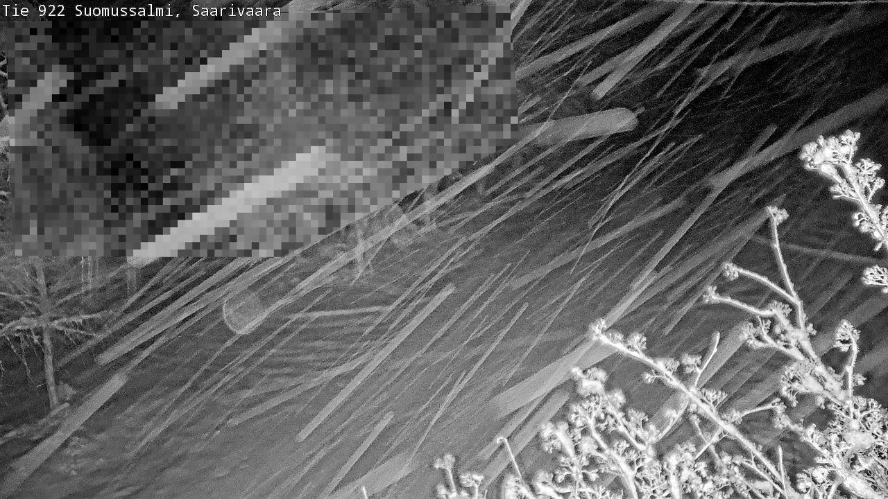 Weather Camera Image Road 950 843 Suomussalmi, Saarivaara, Suomussalmi, Kainuu