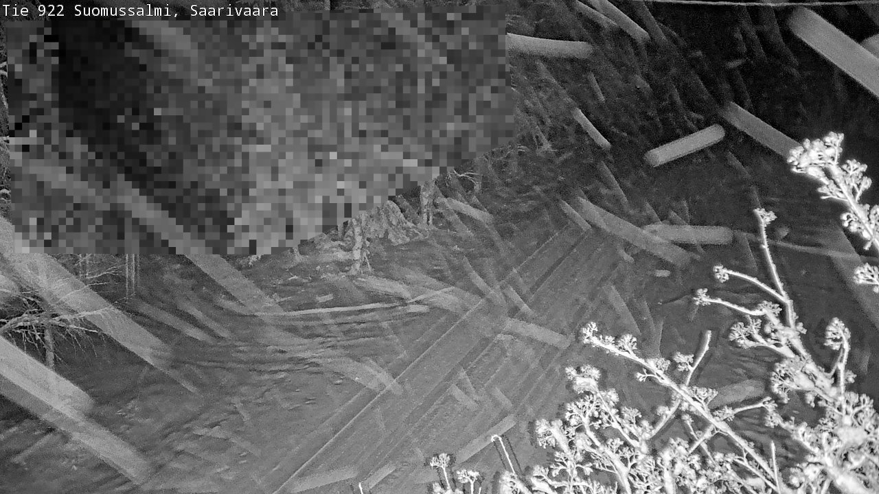 Weather Camera Image Road 950 843 Suomussalmi, Saarivaara, Suomussalmi, Kainuu