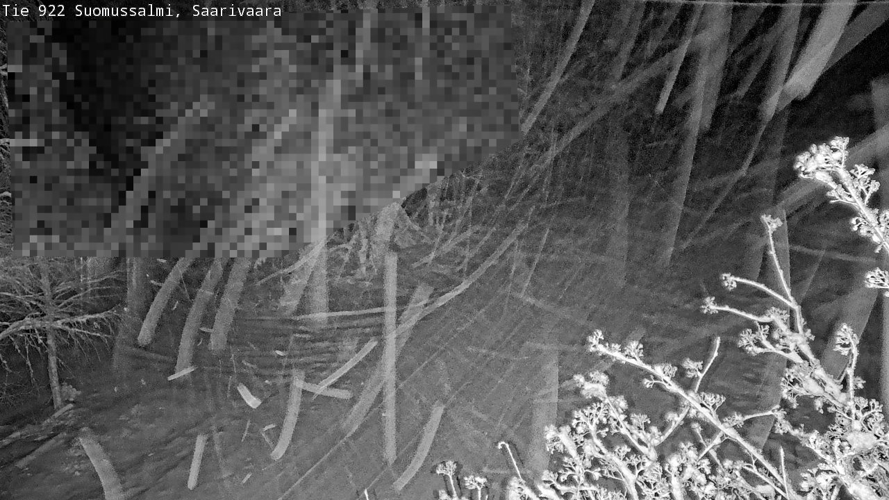 Weather Camera Image Road 950 843 Suomussalmi, Saarivaara, Suomussalmi, Kainuu