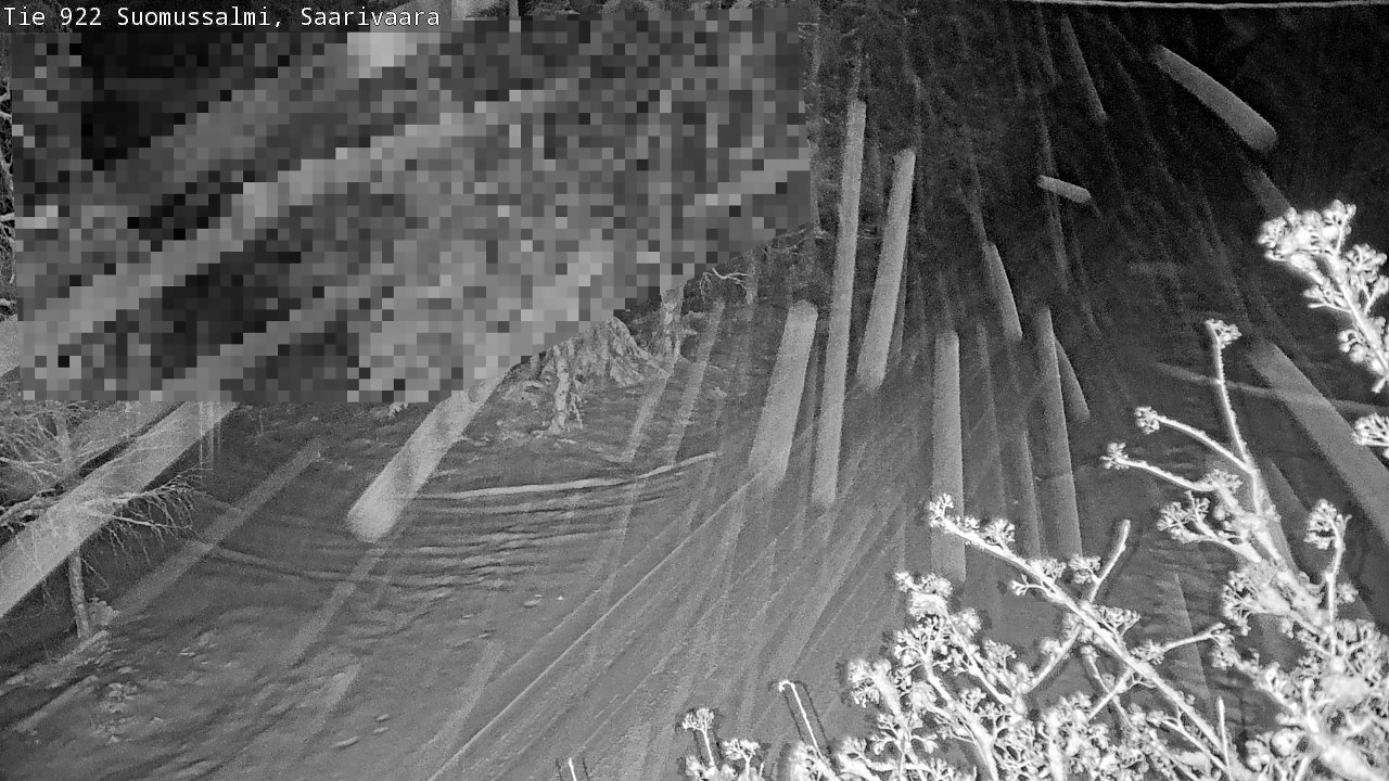 Weather Camera Image Road 950 843 Suomussalmi, Saarivaara, Suomussalmi, Kainuu