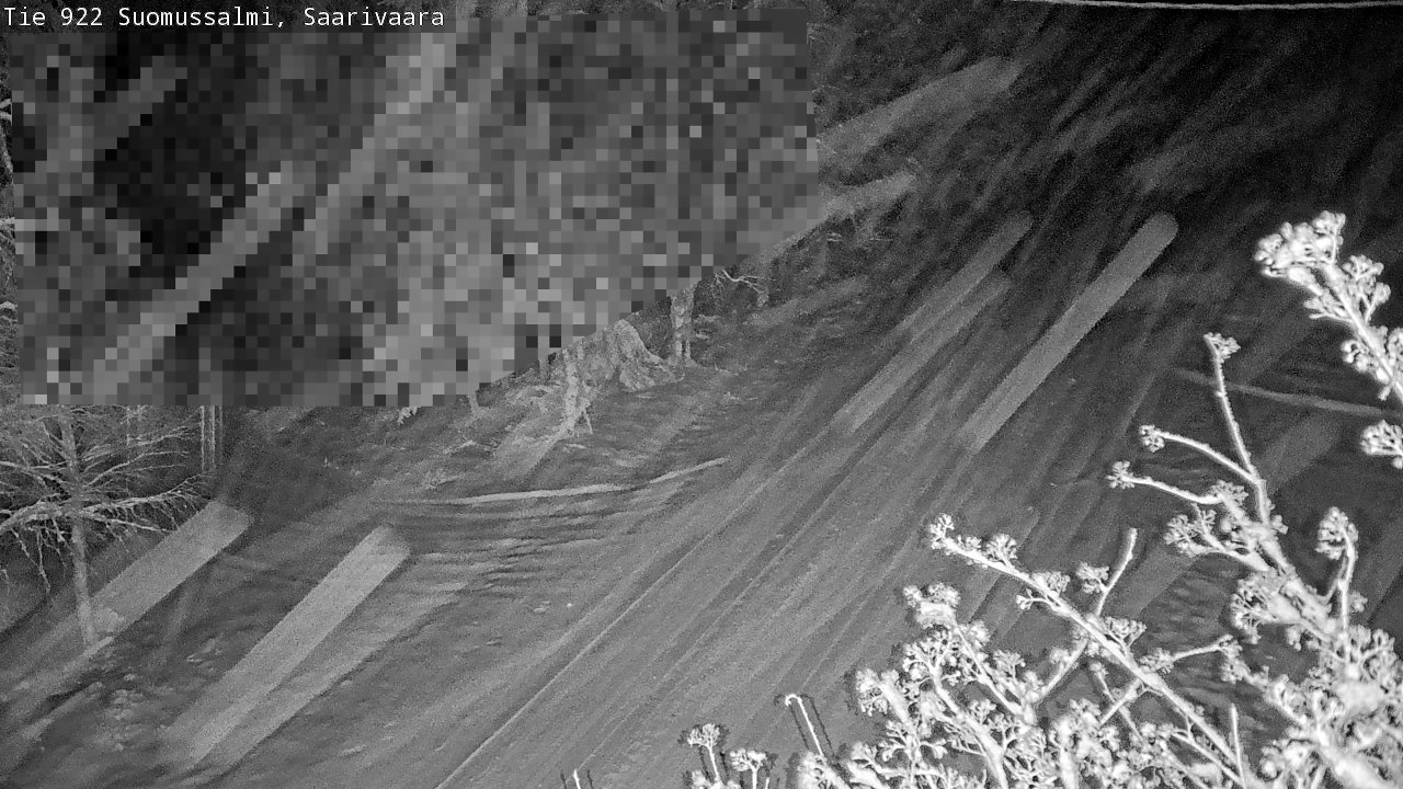Weather Camera Image Road 950 843 Suomussalmi, Saarivaara, Suomussalmi, Kainuu