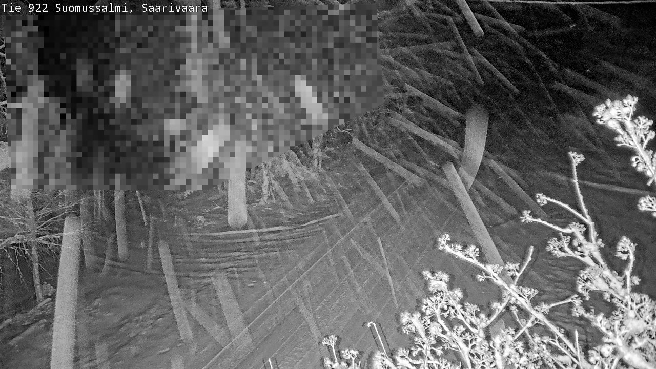 Weather Camera Image Road 950 843 Suomussalmi, Saarivaara, Suomussalmi, Kainuu