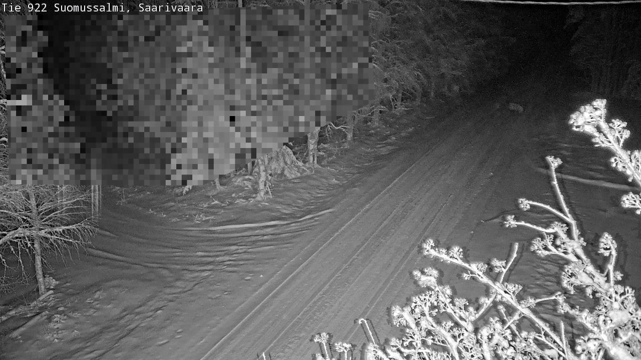 Weather Camera Image Road 950 843 Suomussalmi, Saarivaara, Suomussalmi, Kainuu