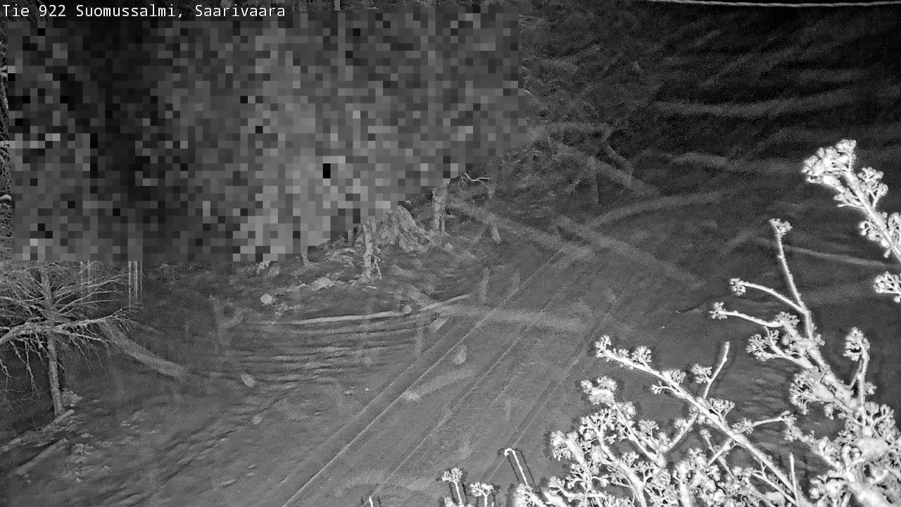 Weather Camera Image Road 950 843 Suomussalmi, Saarivaara, Suomussalmi, Kainuu