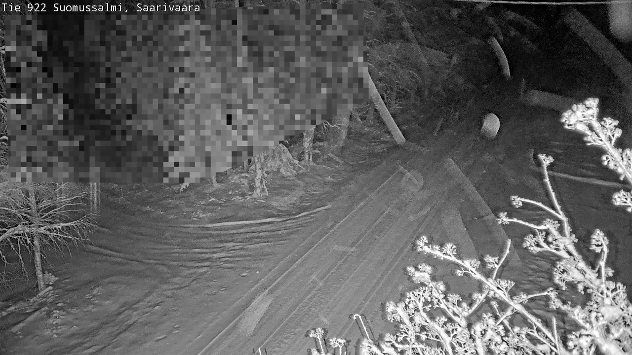 Weather Camera Image Road 950 843 Suomussalmi, Saarivaara, Suomussalmi, Kainuu