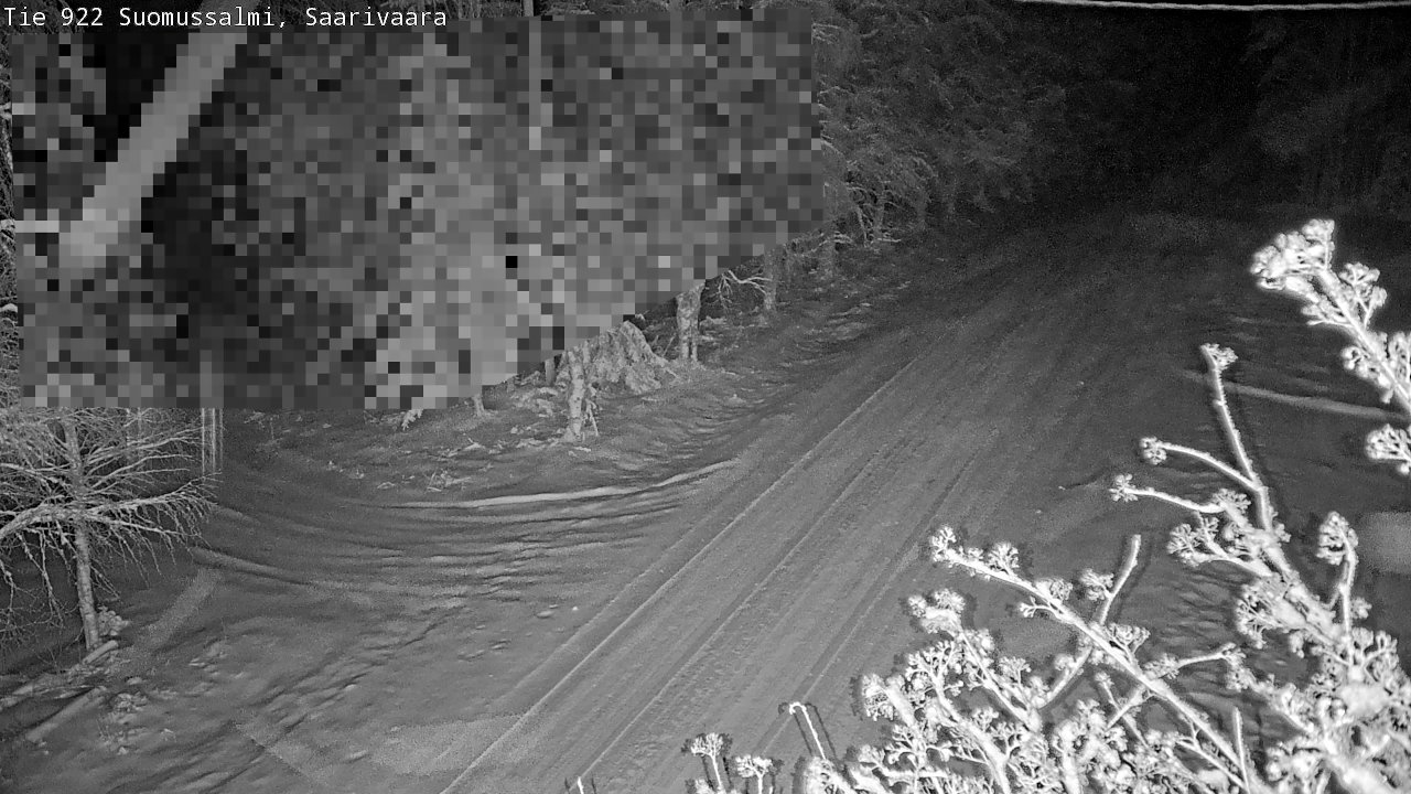 Weather Camera Image Road 950 843 Suomussalmi, Saarivaara, Suomussalmi, Kainuu
