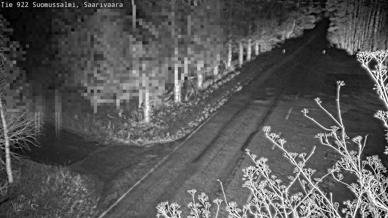 Kelikamerat Kuva Tie 843 Suomussalmi, Saarivaara, Suomussalmi, Kainuu