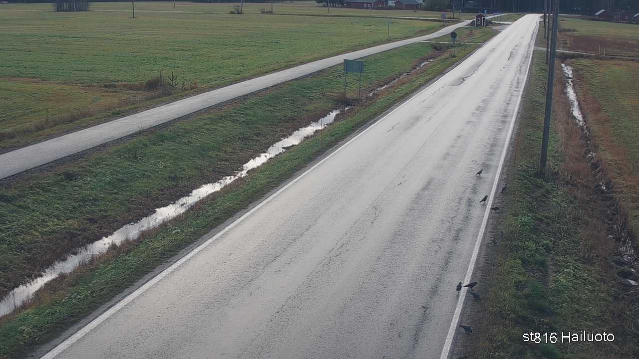 Kelikamerat Kuva Tie 816 Hailuoto, Hailuoto, Pohjois-Pohjanmaa