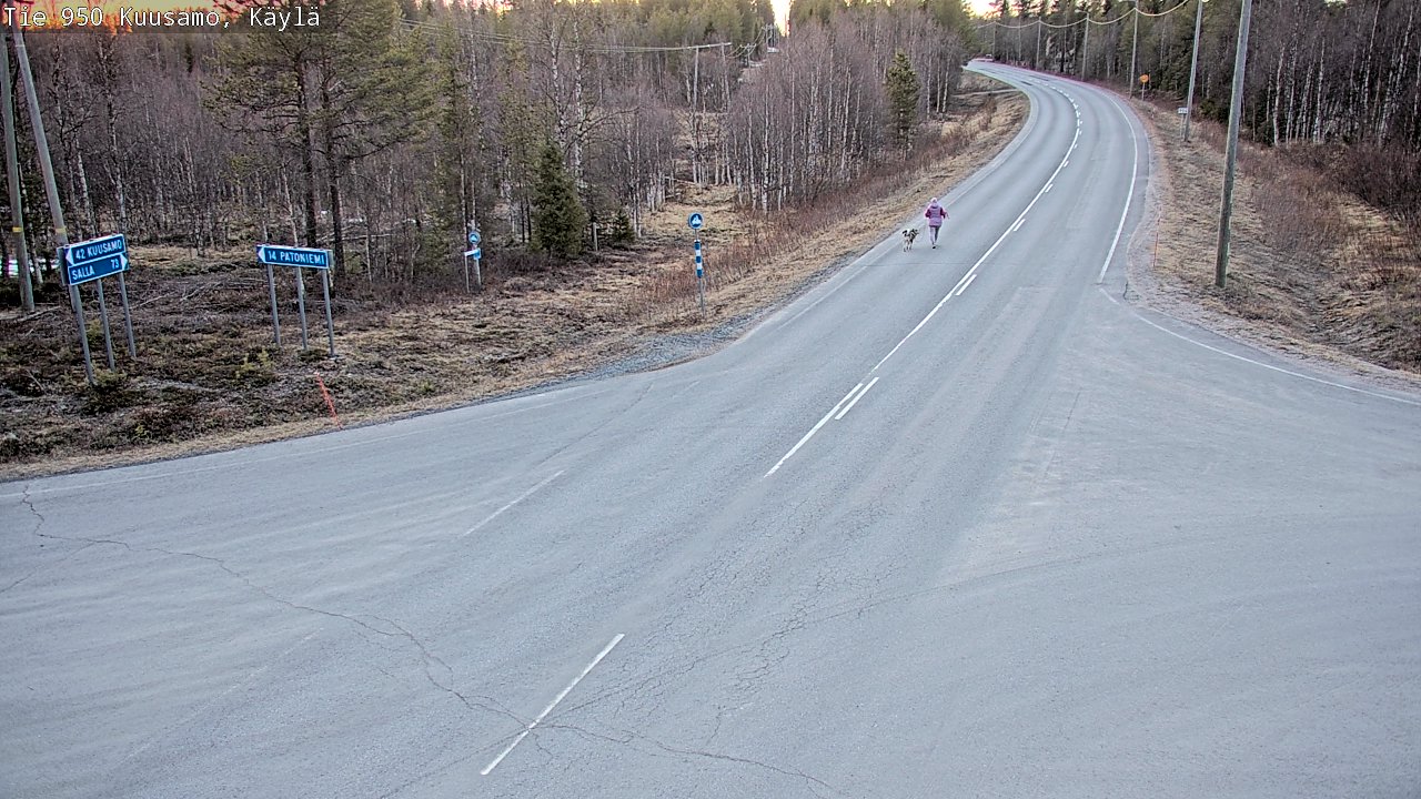 Weather Camera Image Väg 950 Kuusamo, Käylä, Kuusamo, Pohjois-Pohjanmaa