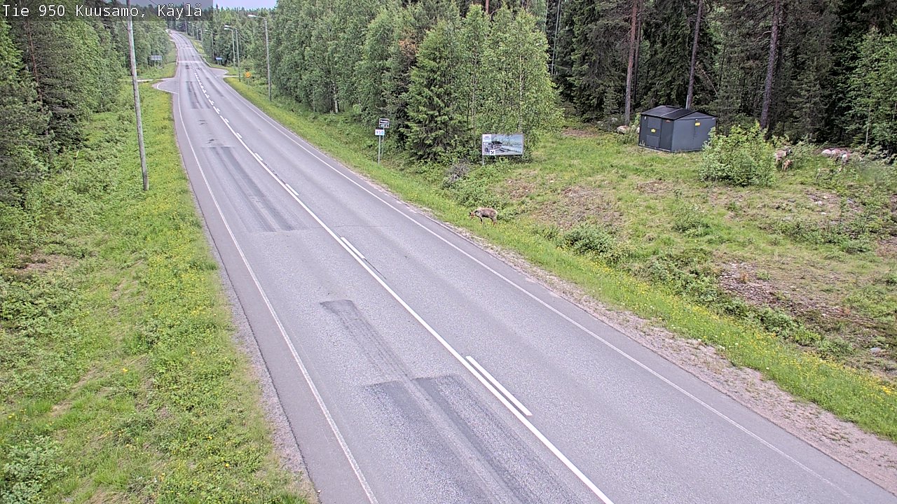 Kelikamerat Kuva Tie 950 Kuusamo, Käylä, Kuusamo, Pohjois-Pohjanmaa