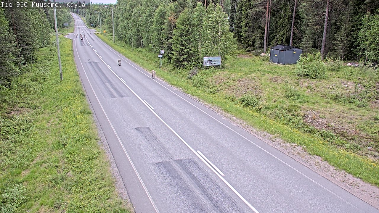 Kelikamerat Kuva Tie 950 Kuusamo, Käylä, Kuusamo, Pohjois-Pohjanmaa