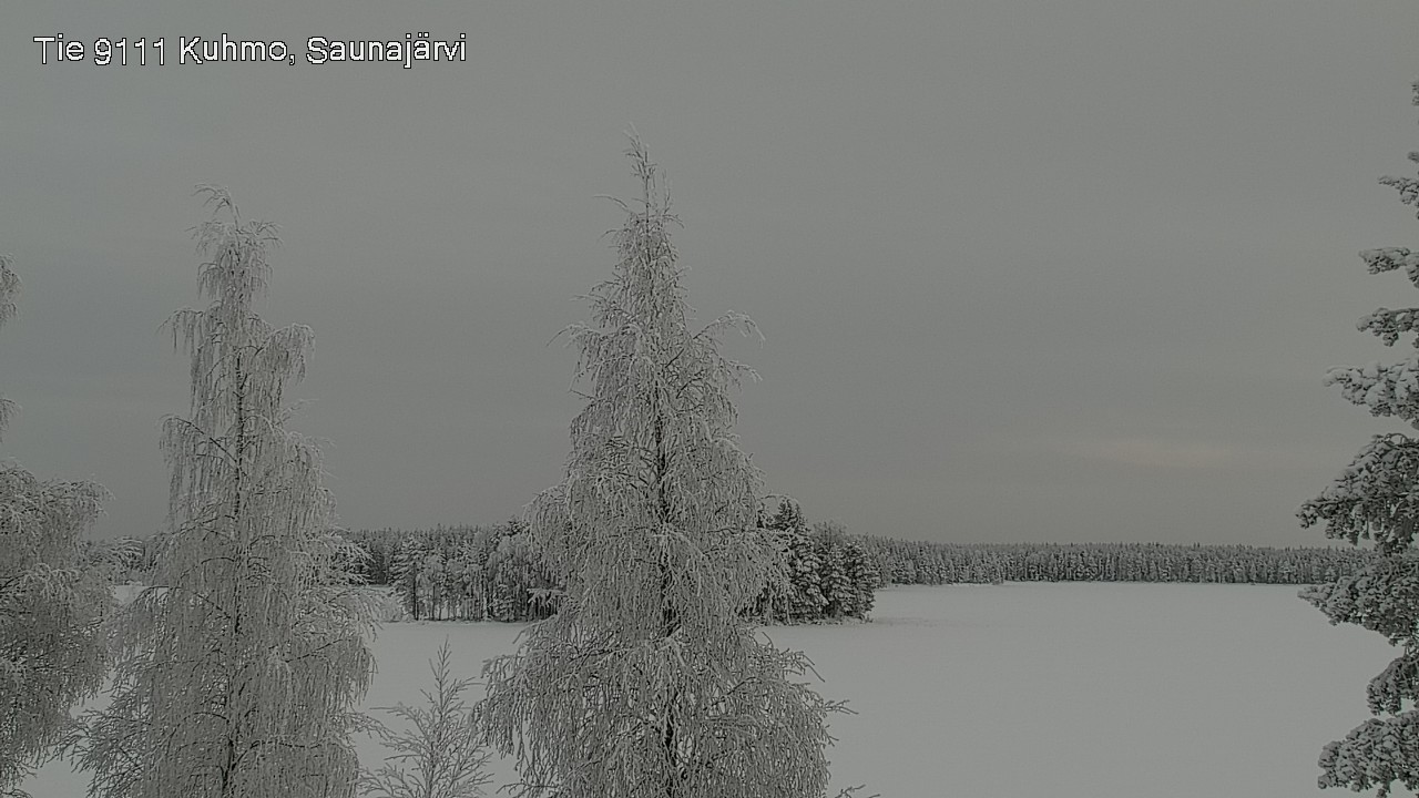 Kelikamerat Kuva Tie 9111 Kuhmo, Saunajärvi, Kuhmo, Kainuu
