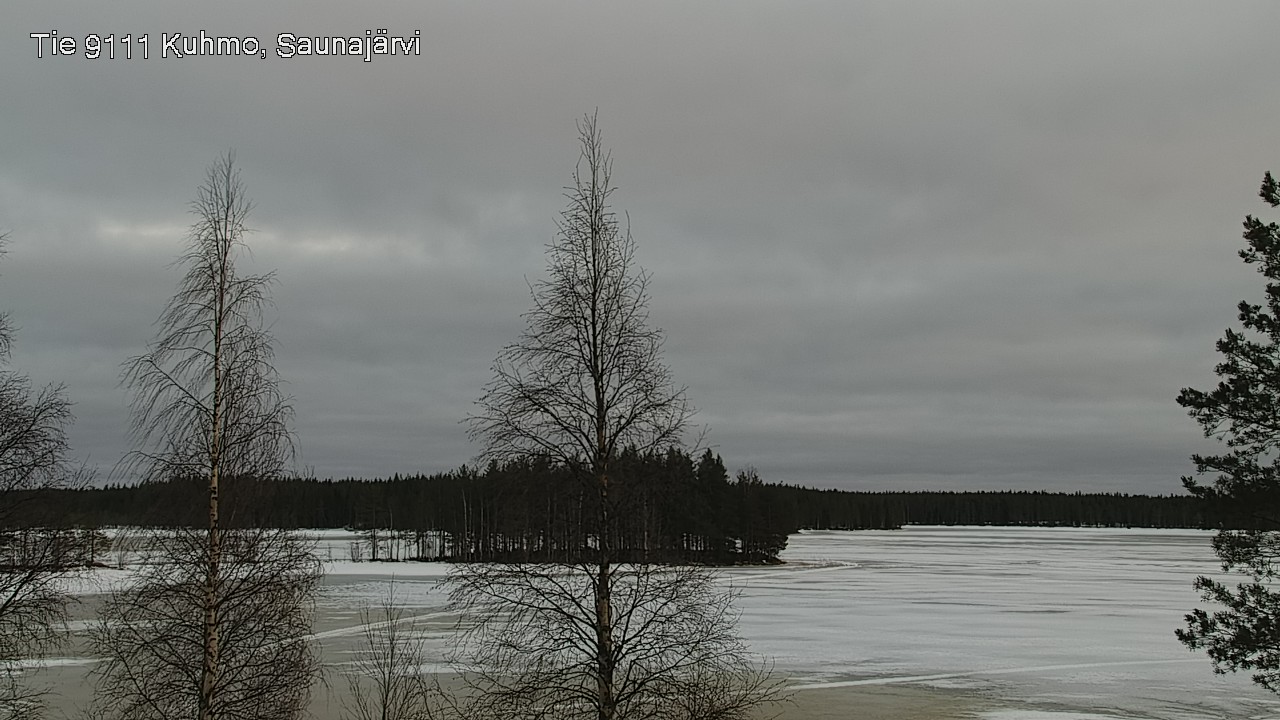 Kelikamerat Kuva Tie 9111 Kuhmo, Saunajärvi, Kuhmo, Kainuu