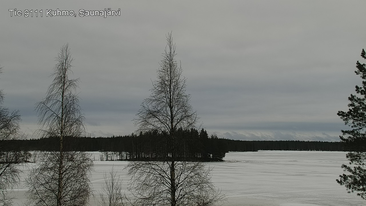 Kelikamerat Kuva Tie 9111 Kuhmo, Saunajärvi, Kuhmo, Kainuu