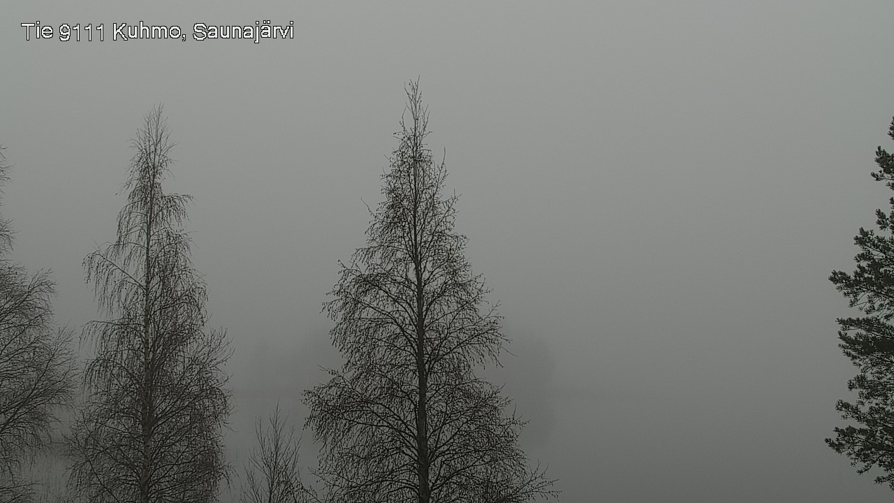 Kelikamerat Kuva Tie 9111 Kuhmo, Saunajärvi, Kuhmo, Kainuu