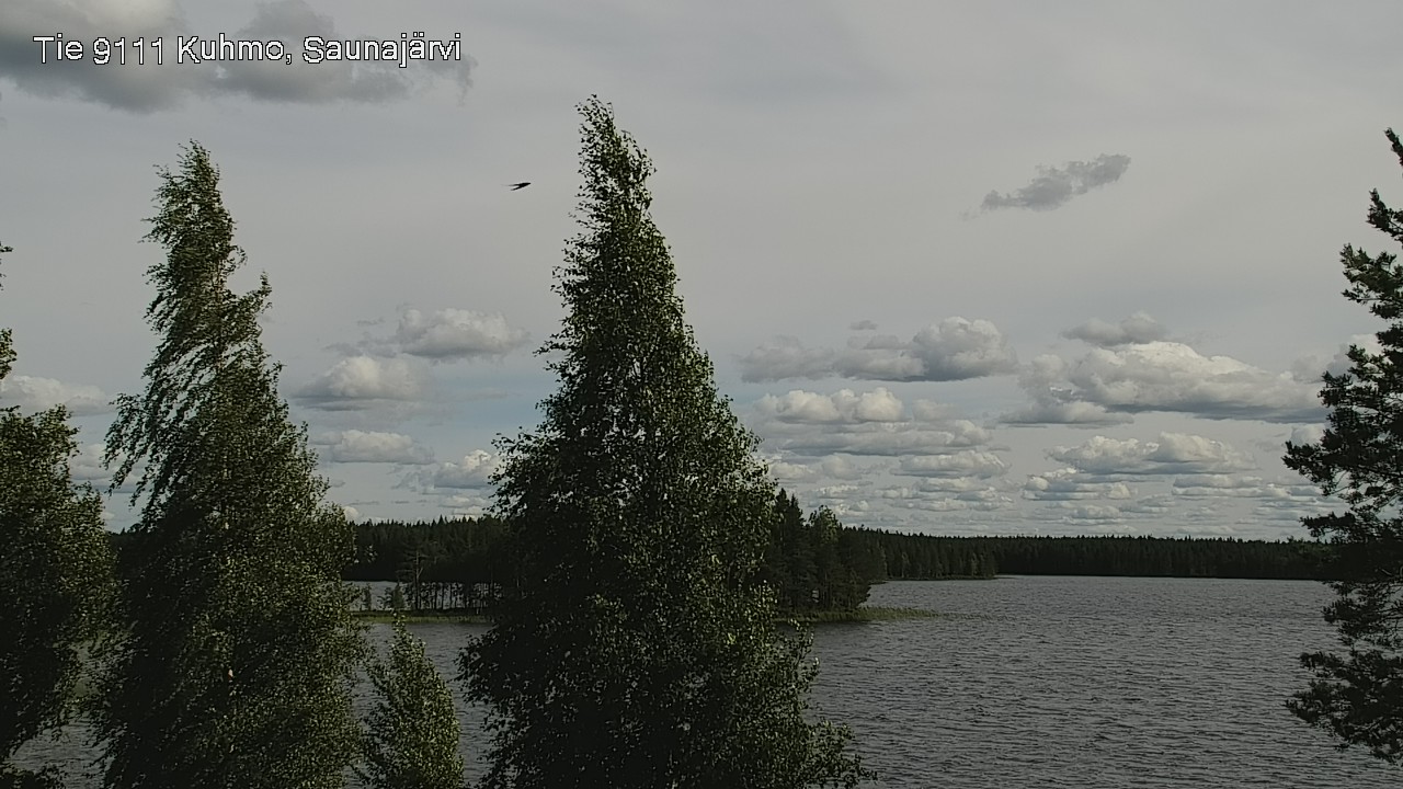 Weather Camera Image Väg 9111 Kuhmo, Saunajärvi, Kuhmo, Kainuu