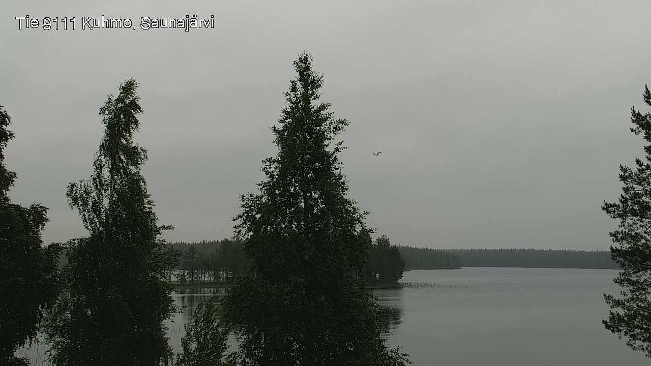 Kelikamerat Kuva Tie 9111 Kuhmo, Saunajärvi, Kuhmo, Kainuu