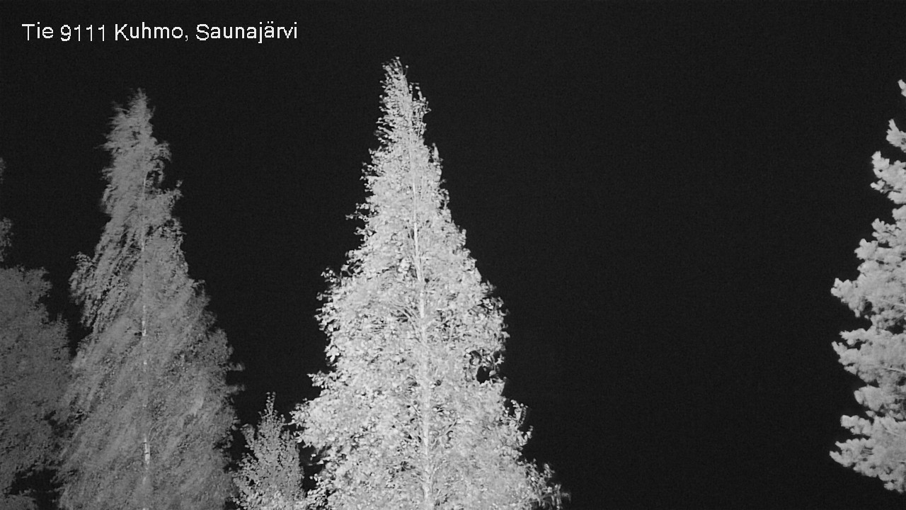 Kelikamerat Kuva Tie 9111 Kuhmo, Saunajärvi, Kuhmo, Kainuu