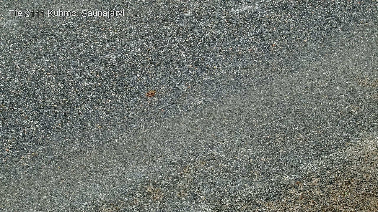 Kelikamerat Kuva Tie 9111 Kuhmo, Saunajärvi, Kuhmo, Kainuu