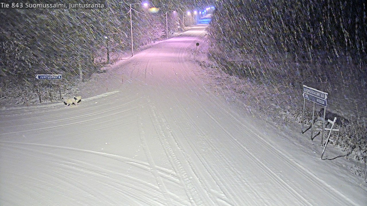 Weather Camera Image Road 843 Suomussalmi, Juntusranta, Suomussalmi, Kainuu