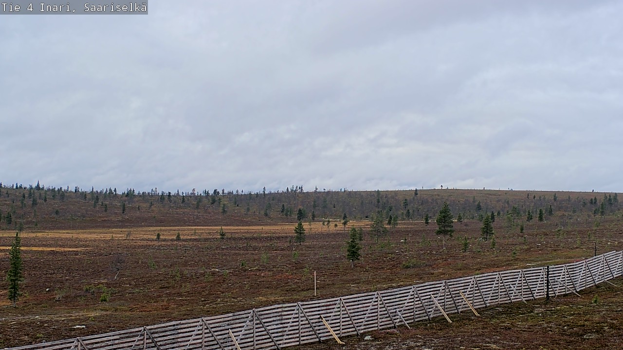 Kelikamerat Kuva Tie 4 Inari, Saariselkä, Kaunispää, Inari, Lappi