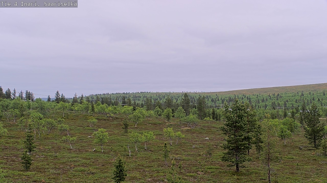 Kelikamerat Kuva Tie 4 Inari, Saariselkä, Kaunispää, Inari, Lappi