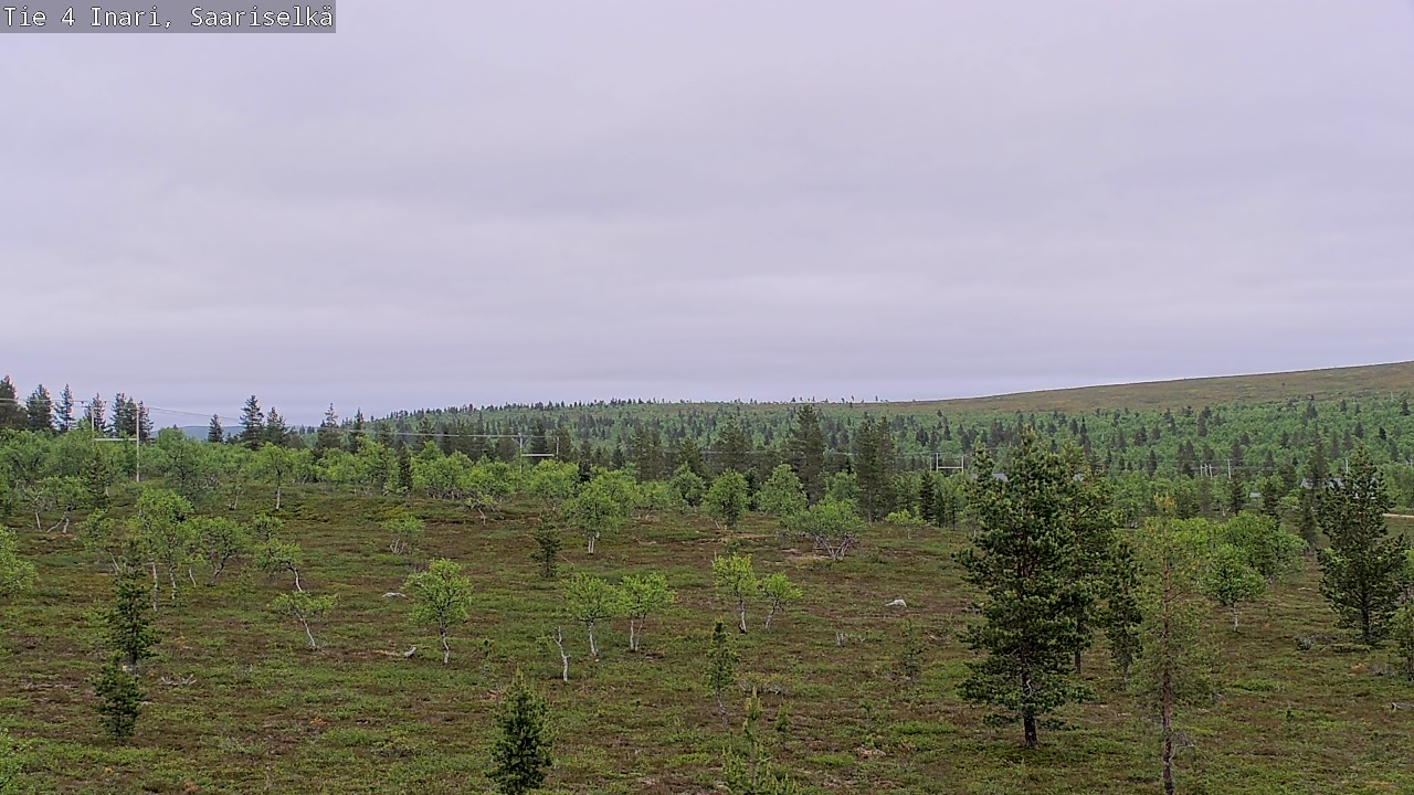Kelikamerat Kuva Tie 4 Inari, Saariselkä, Kaunispää, Inari, Lappi