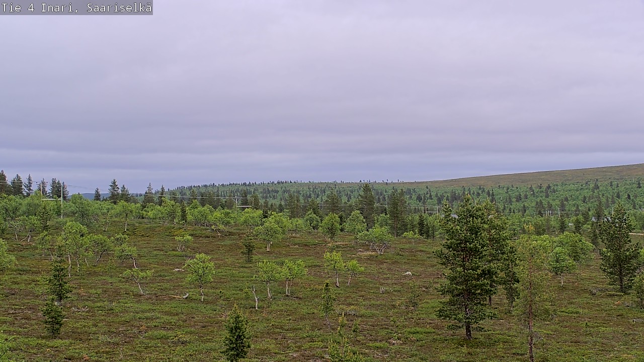 Kelikamerat Kuva Tie 4 Inari, Saariselkä, Kaunispää, Inari, Lappi