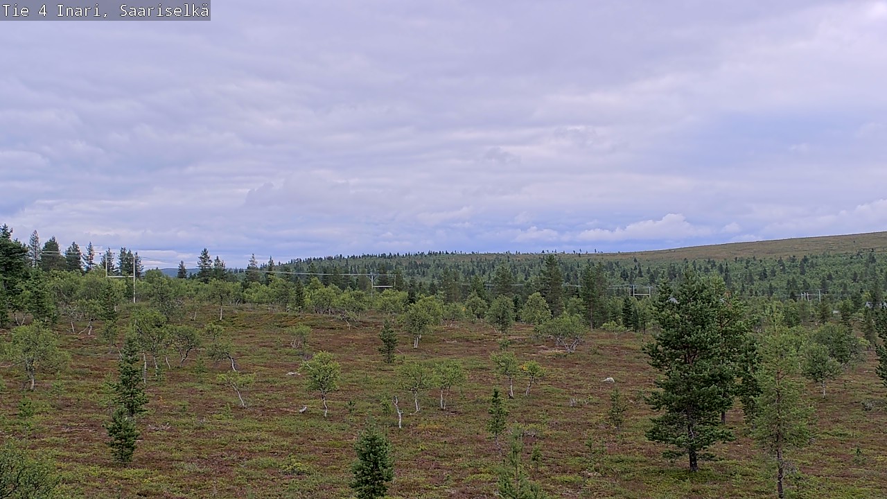 Kelikamerat Kuva Tie 4 Inari, Saariselkä, Kaunispää, Inari, Lappi