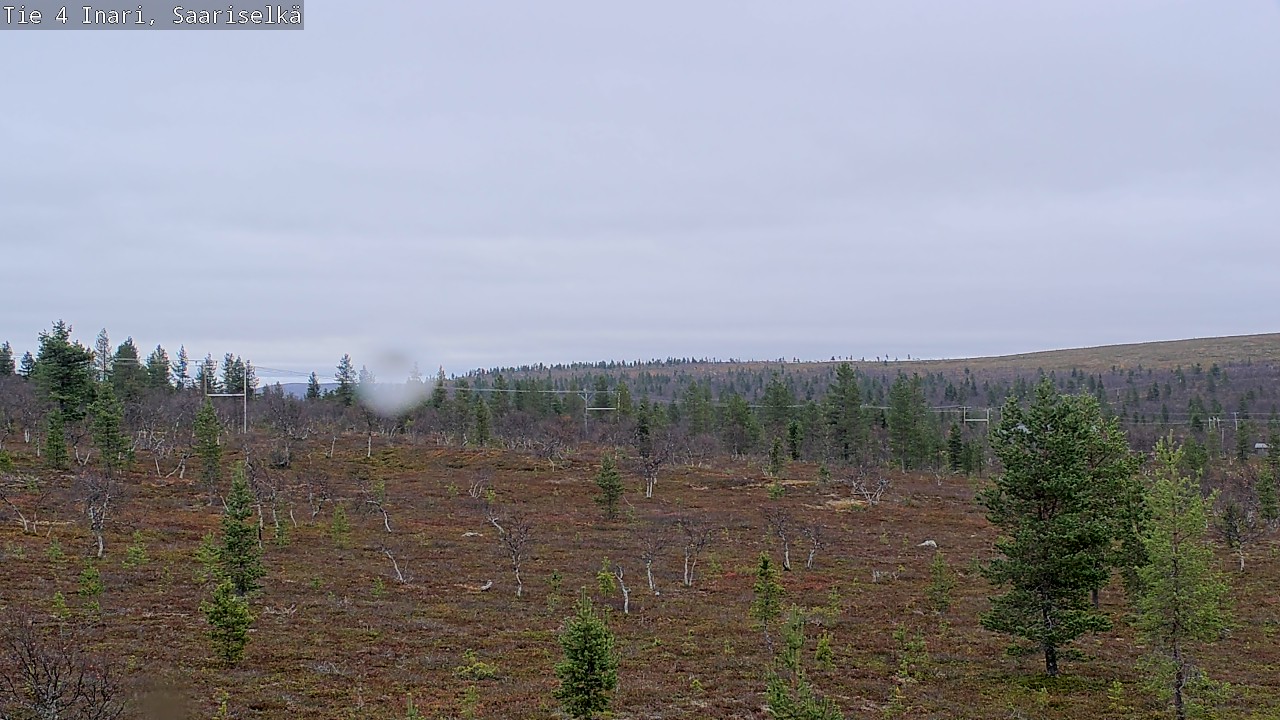 Kelikamerat Kuva Tie 4 Inari, Saariselkä, Kaunispää, Inari, Lappi
