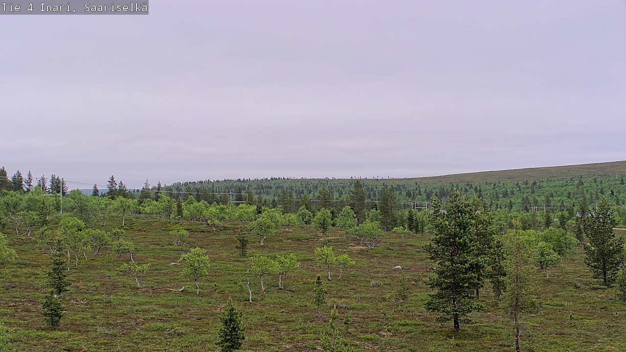 Kelikamerat Kuva Tie 4 Inari, Saariselkä, Kaunispää, Inari, Lappi