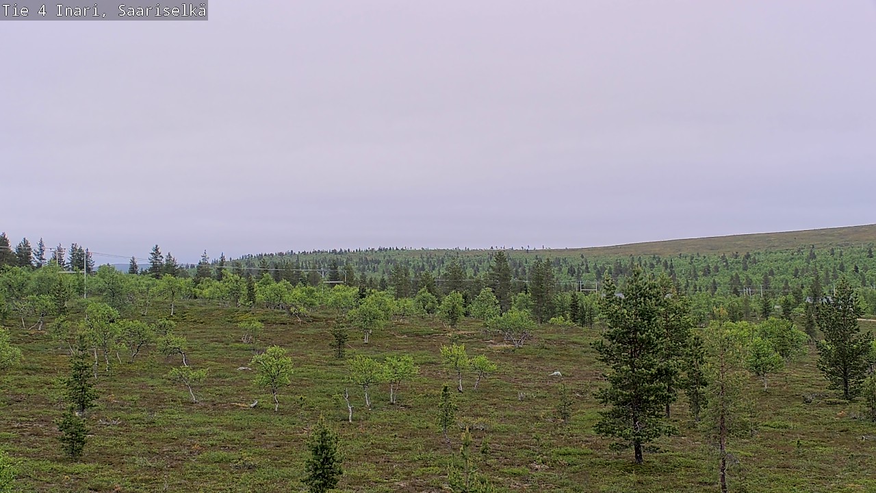 Kelikamerat Kuva Tie 4 Inari, Saariselkä, Kaunispää, Inari, Lappi