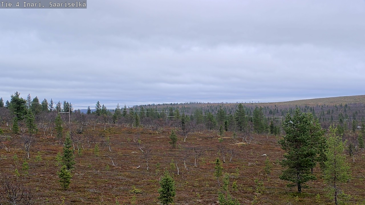 Kelikamerat Kuva Tie 4 Inari, Saariselkä, Kaunispää, Inari, Lappi