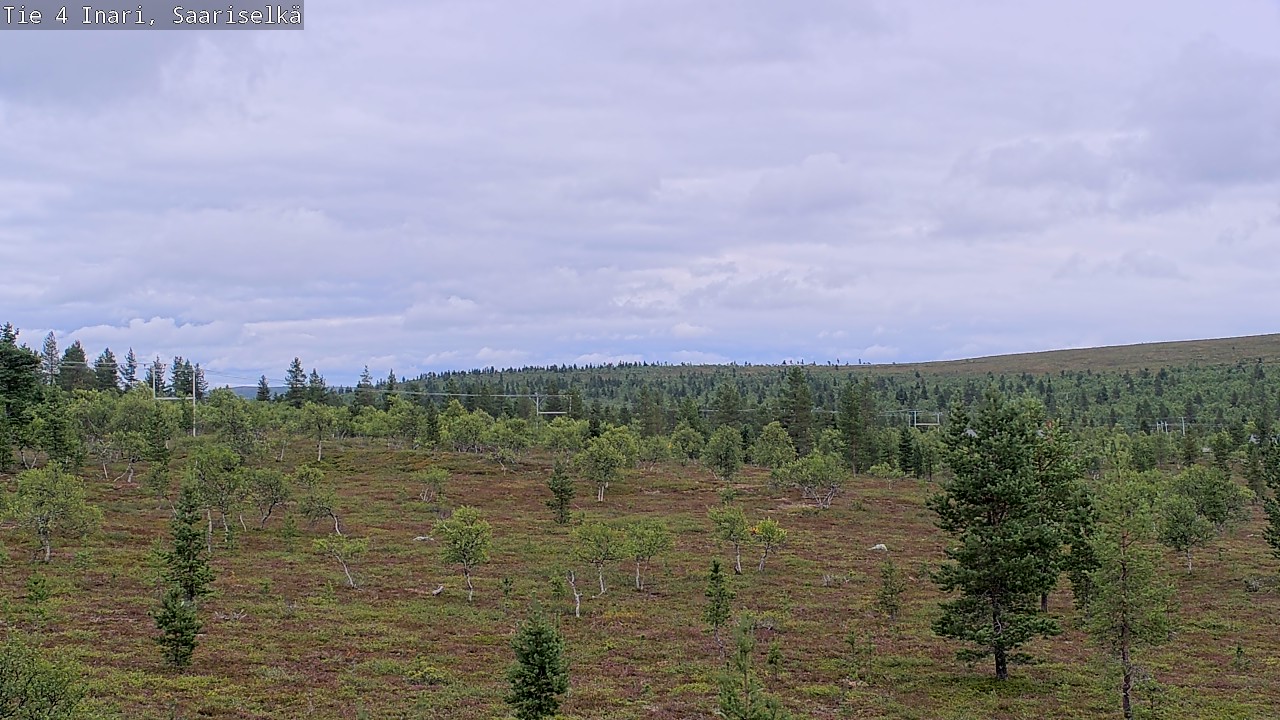 Kelikamerat Kuva Tie 4 Inari, Saariselkä, Kaunispää, Inari, Lappi
