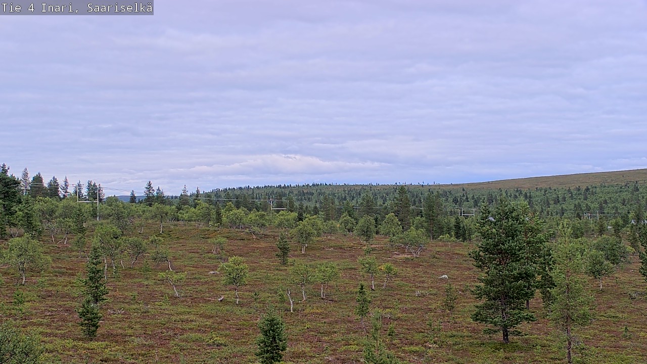 Kelikamerat Kuva Tie 4 Inari, Saariselkä, Kaunispää, Inari, Lappi