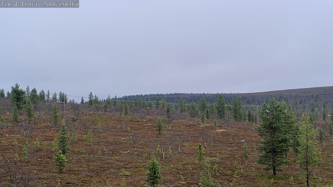 Weather Camera Image Road 4 Inari, Saariselkä, Kaunispää, Inari, Lappi