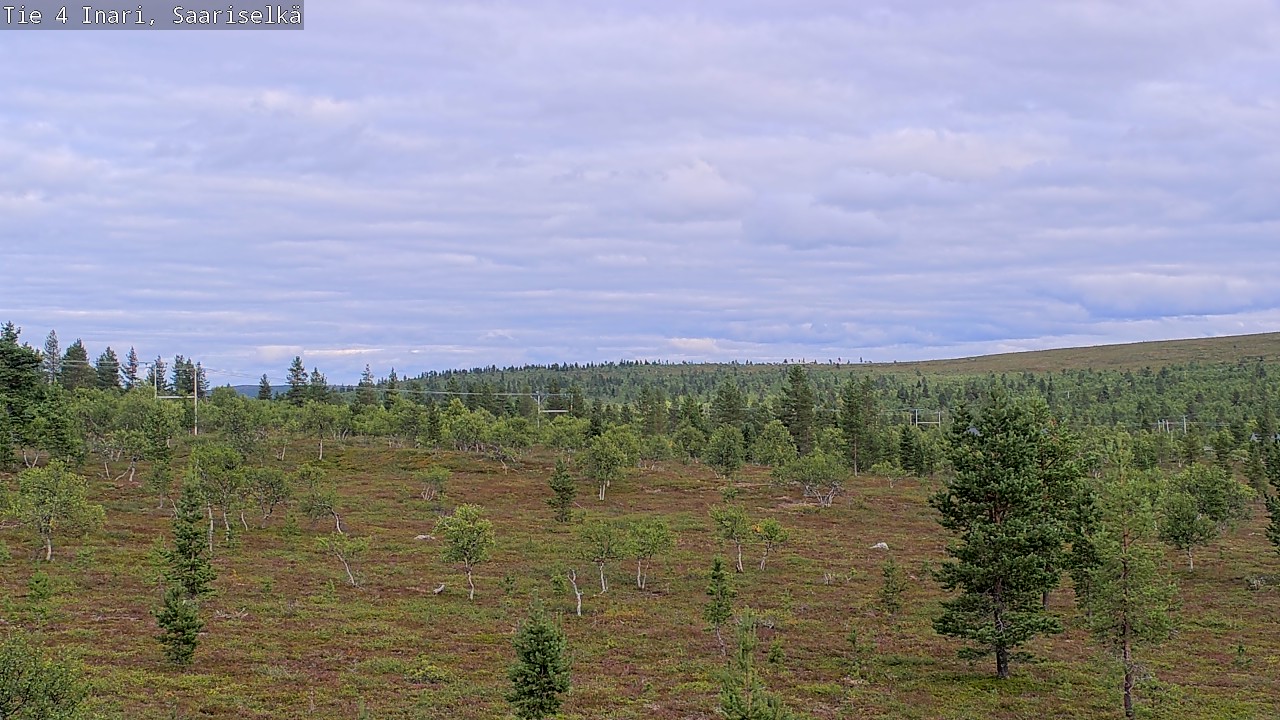 Kelikamerat Kuva Tie 4 Inari, Saariselkä, Kaunispää, Inari, Lappi