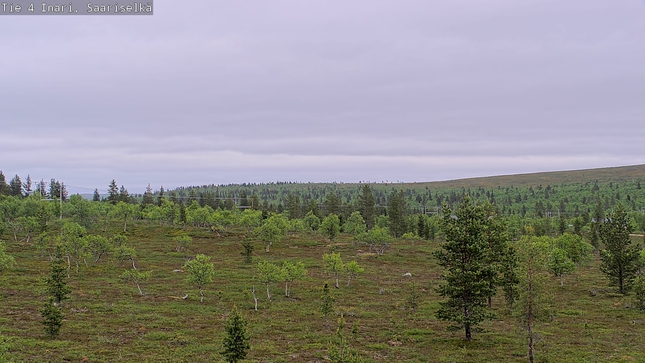 Kelikamerat Kuva Tie 4 Inari, Saariselkä, Kaunispää, Inari, Lappi