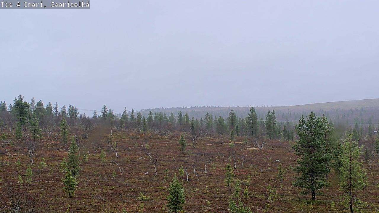 Weather Camera Image Road 4 Inari, Saariselkä, Kaunispää, Inari, Lappi