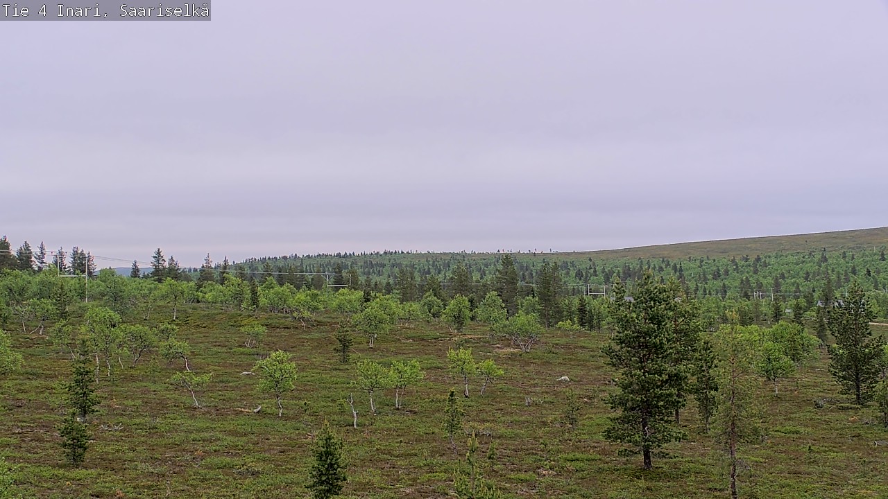 Kelikamerat Kuva Tie 4 Inari, Saariselkä, Kaunispää, Inari, Lappi