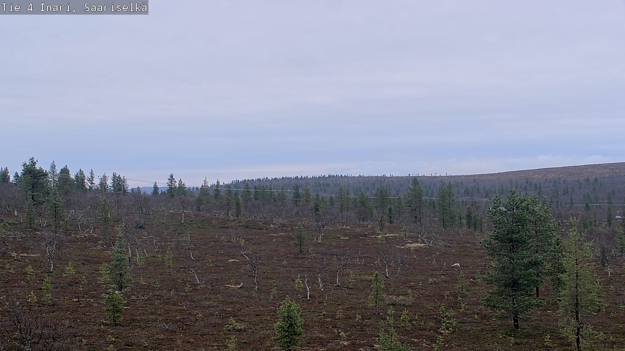 Kelikamerat Kuva Tie 4 Inari, Saariselkä, Kaunispää, Inari, Lappi