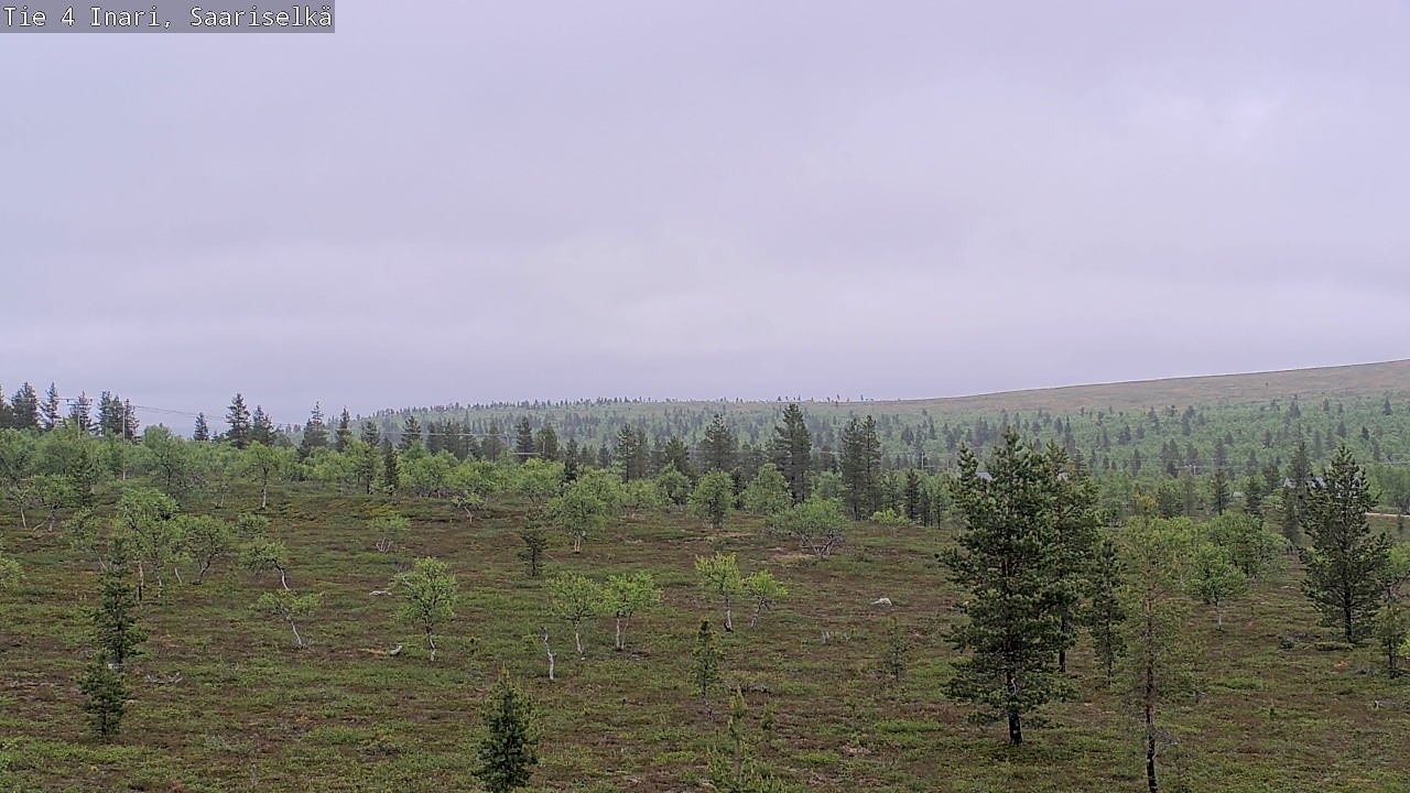 Kelikamerat Kuva Tie 4 Inari, Saariselkä, Kaunispää, Inari, Lappi