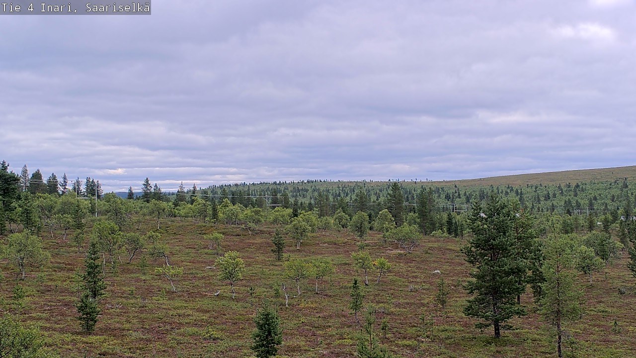 Kelikamerat Kuva Tie 4 Inari, Saariselkä, Kaunispää, Inari, Lappi