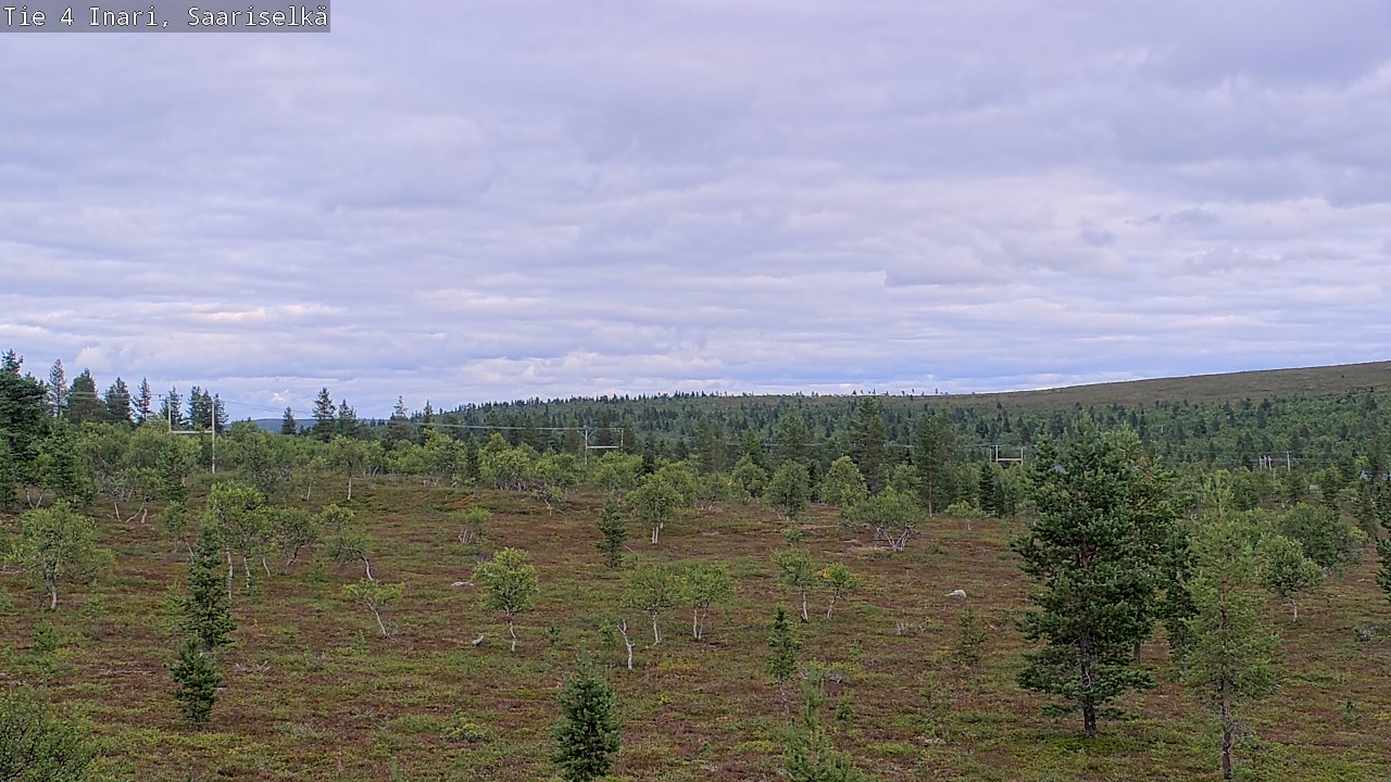 Kelikamerat Kuva Tie 4 Inari, Saariselkä, Kaunispää, Inari, Lappi
