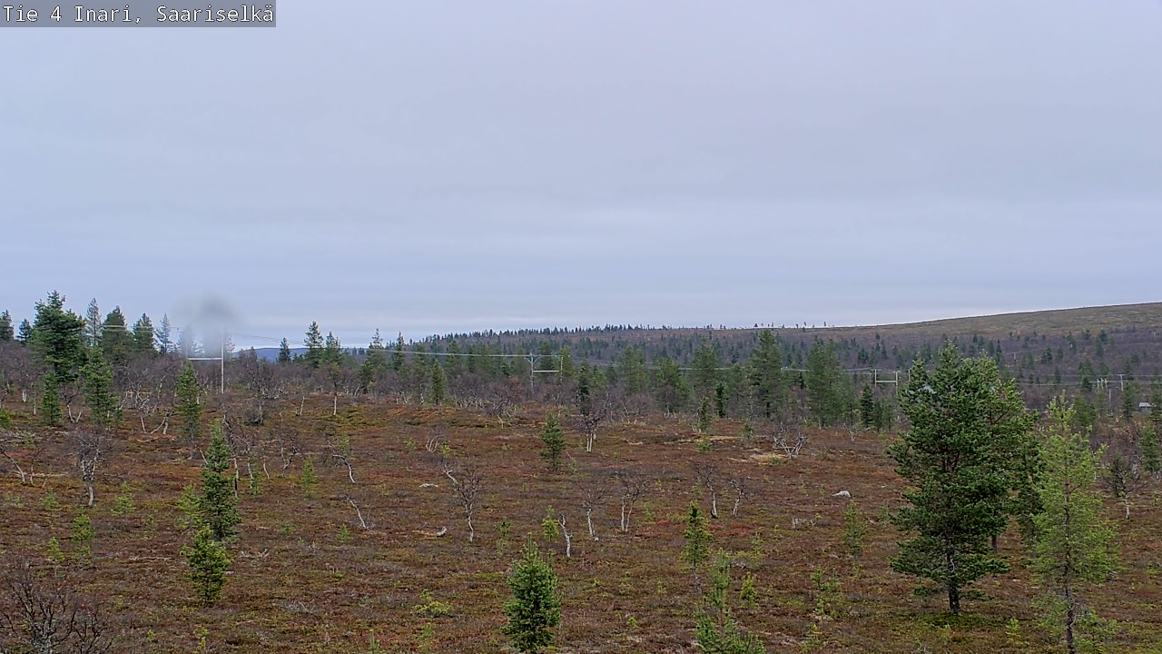 Kelikamerat Kuva Tie 4 Inari, Saariselkä, Kaunispää, Inari, Lappi