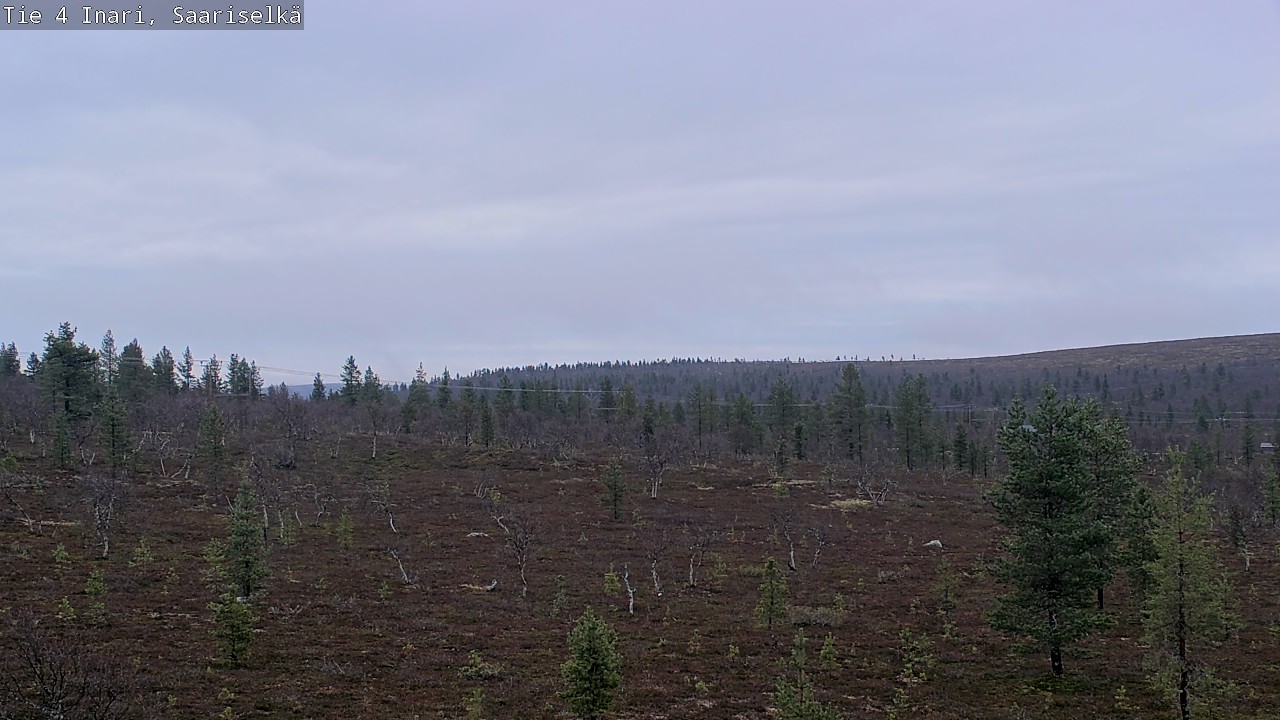 Kelikamerat Kuva Tie 4 Inari, Saariselkä, Kaunispää, Inari, Lappi